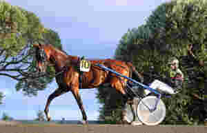 Overlegen solomann