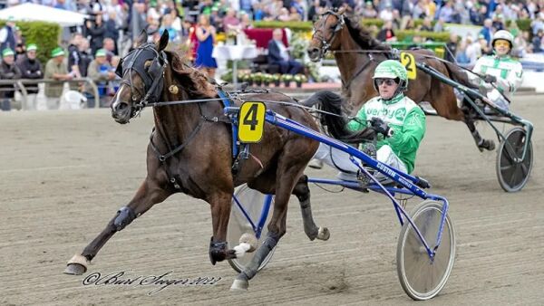 Topp flyttes fra Westergaard