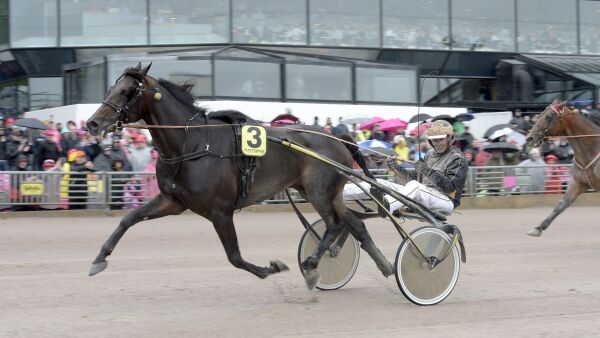 Solvalla-vinner takket ja