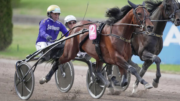 Vil ha svar, dropper auksjon og strålte