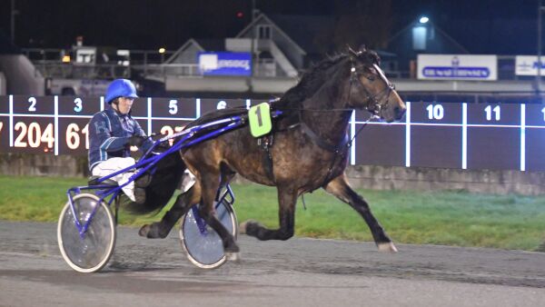 Kveldens Momarken-tips