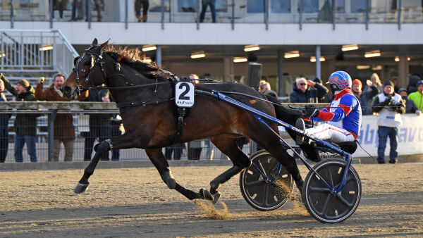 Savnet hest, ut mot innsparinger og full retrett