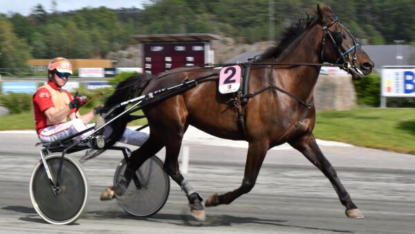- Tre brudd i ryggen
