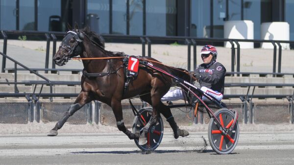 Norsk vinnerhest blir ridehest i England etter tur til Malta