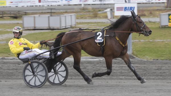 Disse er eksportert fra Norge
