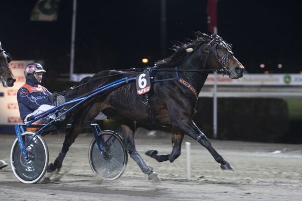 Disse er eksportert og importert