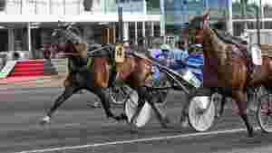 Elitehest fikk startforbud