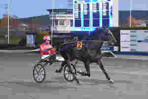 Dobbeltseier, to startforbud og første Elitloppsbillett