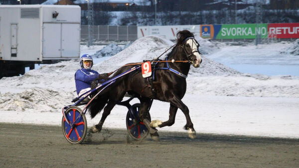 Helenkelt for Blekkans prins