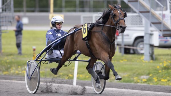 Hamre-hoppe kjemper om 200.000