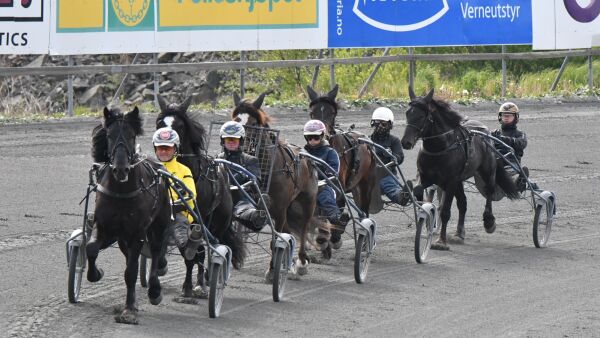Nå kan du melde til mønstringsløp