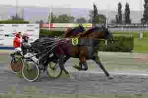 Seier i debuten