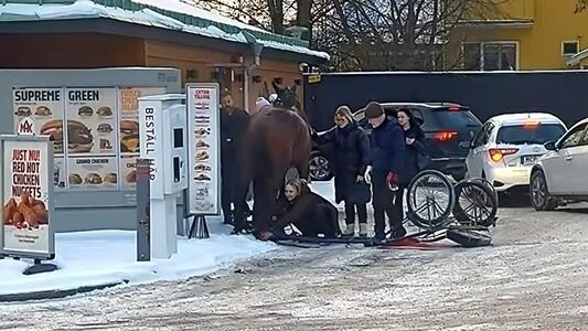 Løpsk hest stoppet i kassa