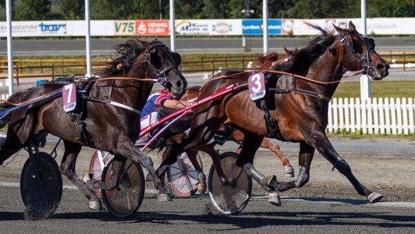 Kostet 4.000 kroner