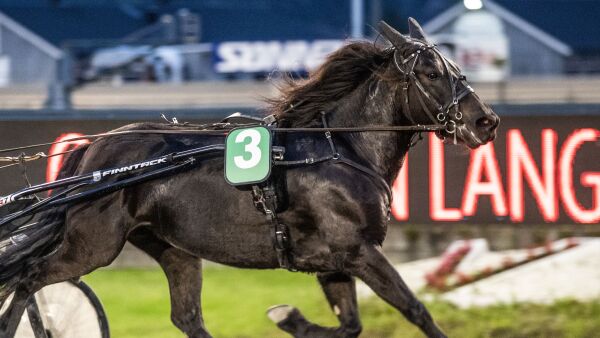 Travet i riktig ende