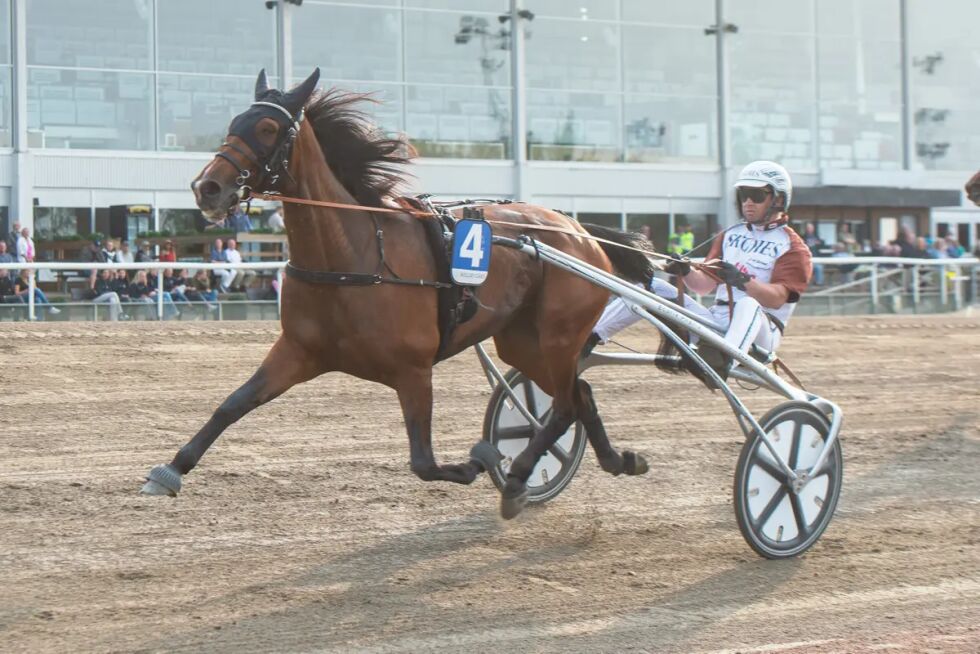 Moren til Daim Brodda er utnevnt til elitehoppe av ASVT.
 Foto: TR Bild