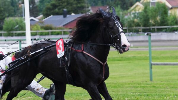 Overlegen etter pause