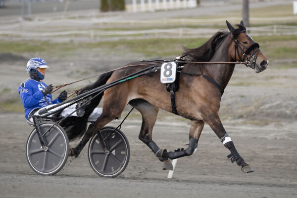 - Fornøyd med premie