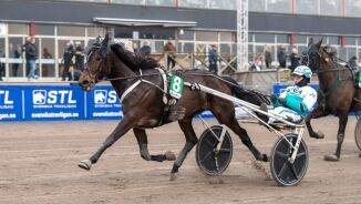 Setter strek med topphoppa