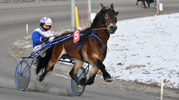 Leide oldtimer og laget andelslag
