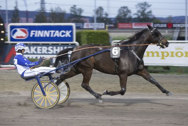 - Det blir full sjekk