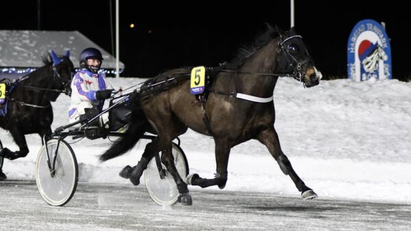 - Mange år med arbeid bak