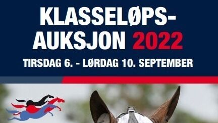 Ingen trykt katalog