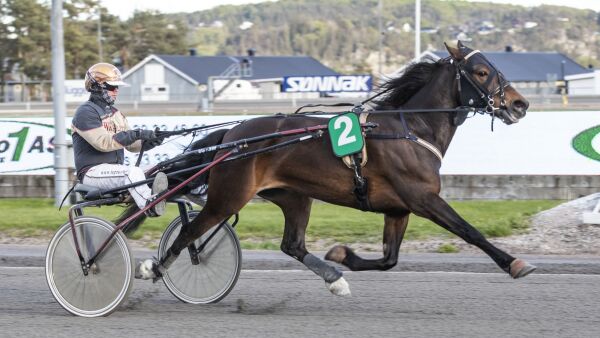 Drektige topphopper