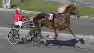 Sportslig spennende V75-runde