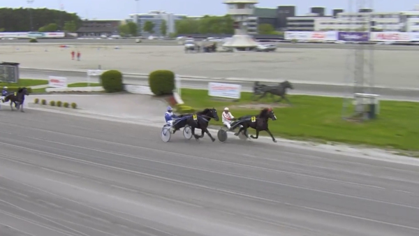 Øksnevad med fin debutant