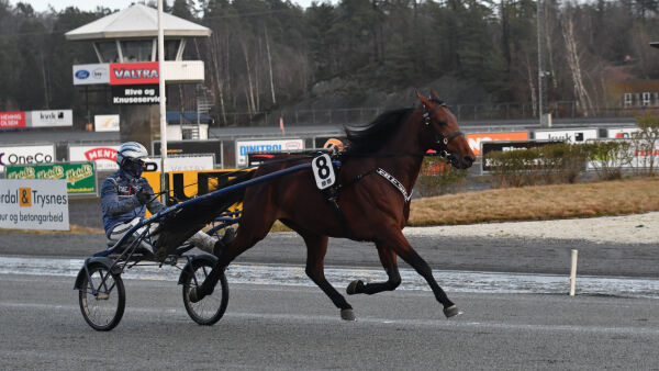 Ungheststjerne i ny regi