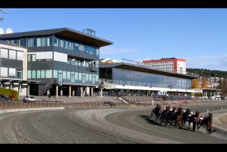 Bjerkes første av to