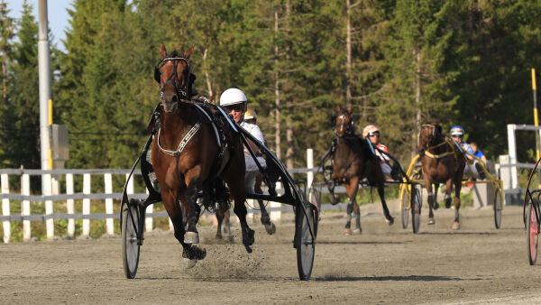 Hun satser i krisetid