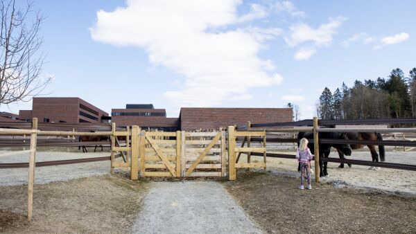 Tommel ned for andel av Rikstoto-penger