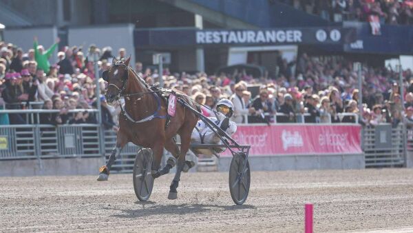 Planlegger Solvalla-retur