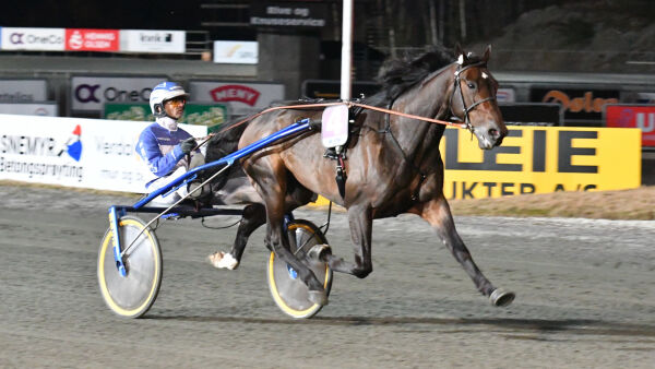 Vinnerhest avlivet