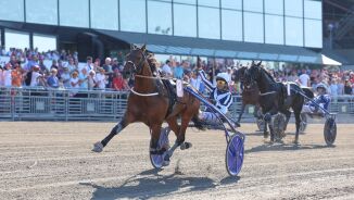 Høy verdi på Elitloppsvinneren