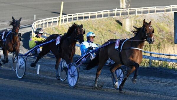- Ingen planer om spill til Norge