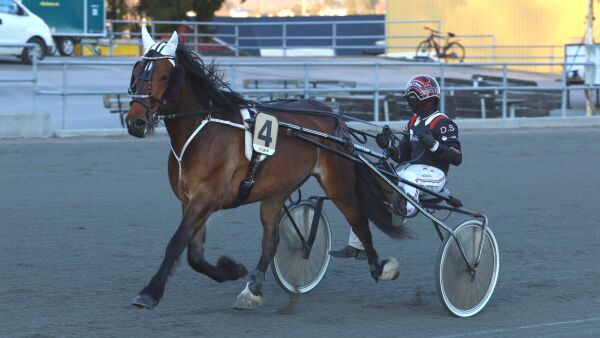 - Trav er en besettelse
