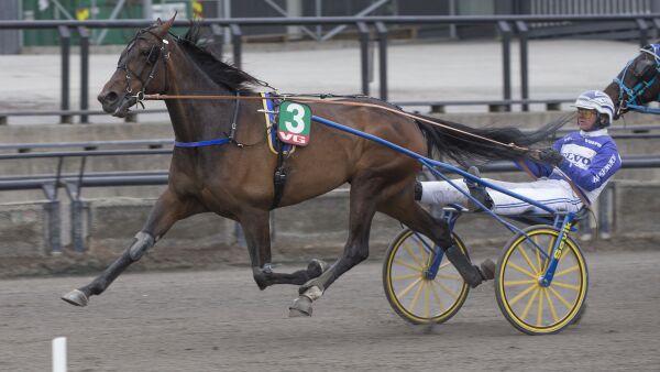 Nordmann solgte dyrest