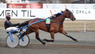 Varig Orkla Arena: Tilbake på vinnersporet