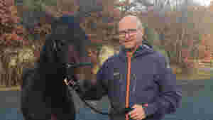 - Er for å skylde på andre