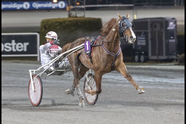 - Vi stiller opp vi