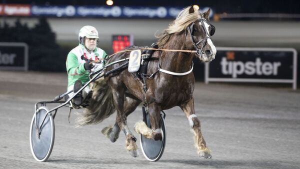 Hof Lodin råsterk fra dødens