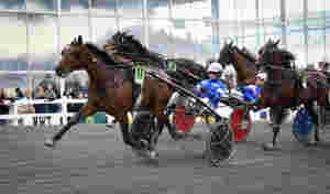 Vant i elitedebuten