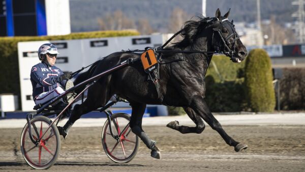 Derbyvinneren til Goop