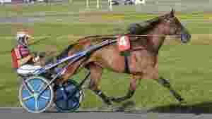 Topphoppe reiser til Brenne