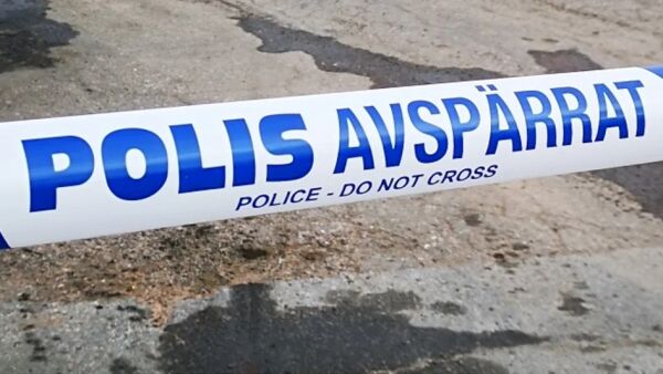 Stikksår var rovdyrbitt