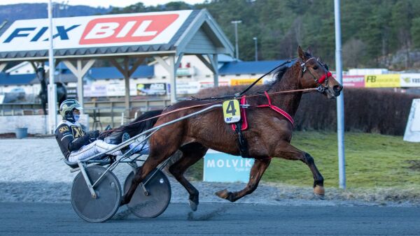 Sprettlett for hedershesten