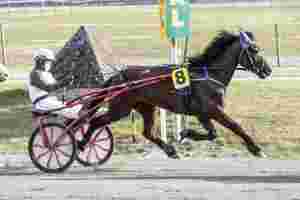 - En litt spesiell type